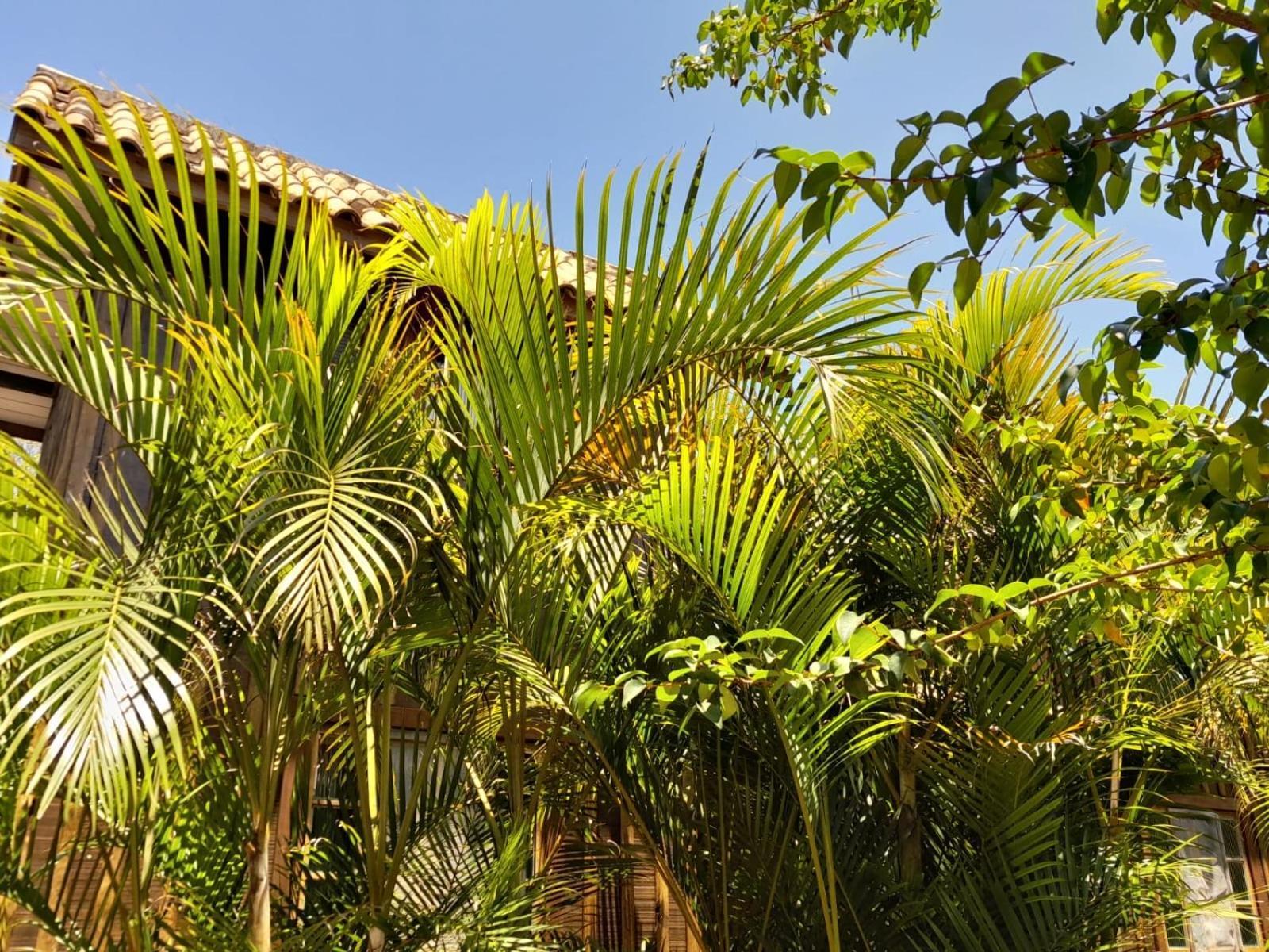 Recanto das Bromélias Chalés Guarda do Embaú Kültér fotó